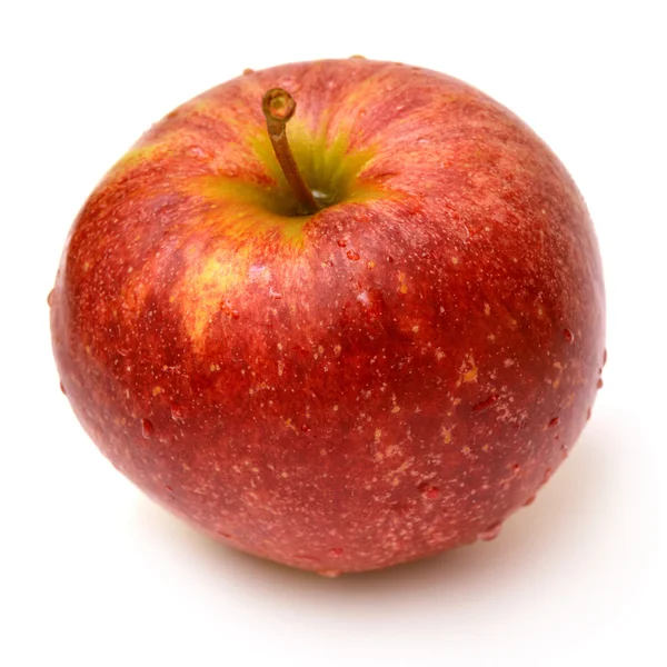 Frischer roter Apfel — Stockfoto