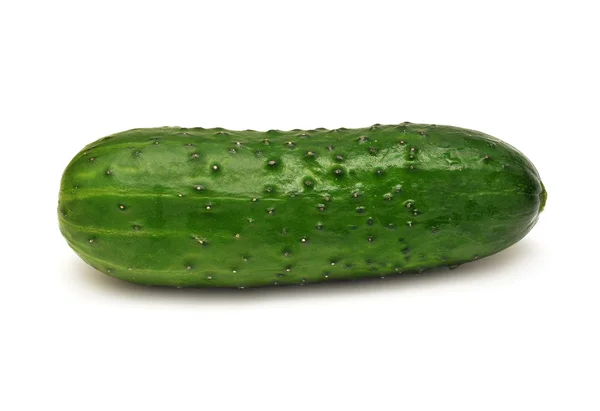 Pepino verde fresco — Foto de Stock