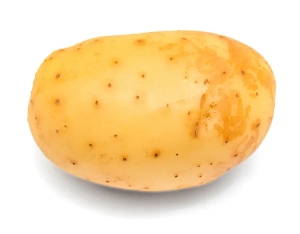 Nieuwe gezonde aardappel — Stockfoto