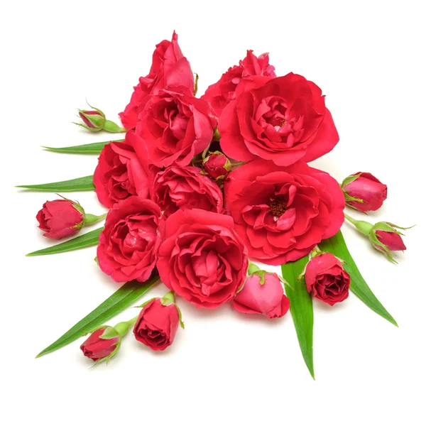 Bouquet of red roses — Stock Photo, Image