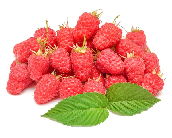 Fresh raspberries with leaves — Stock Photo, Image