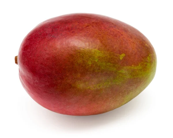 Μάνγκο νωπά φρούτα — Φωτογραφία Αρχείου