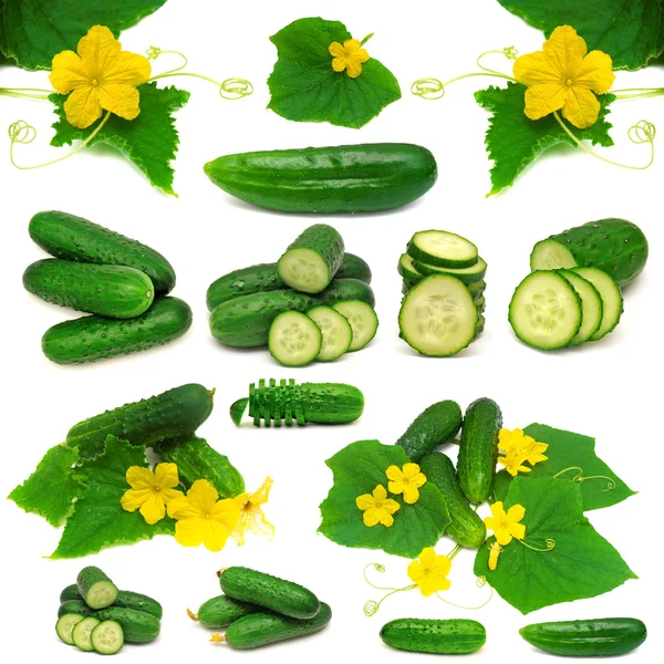 Collectie van groene komkommers — Stockfoto