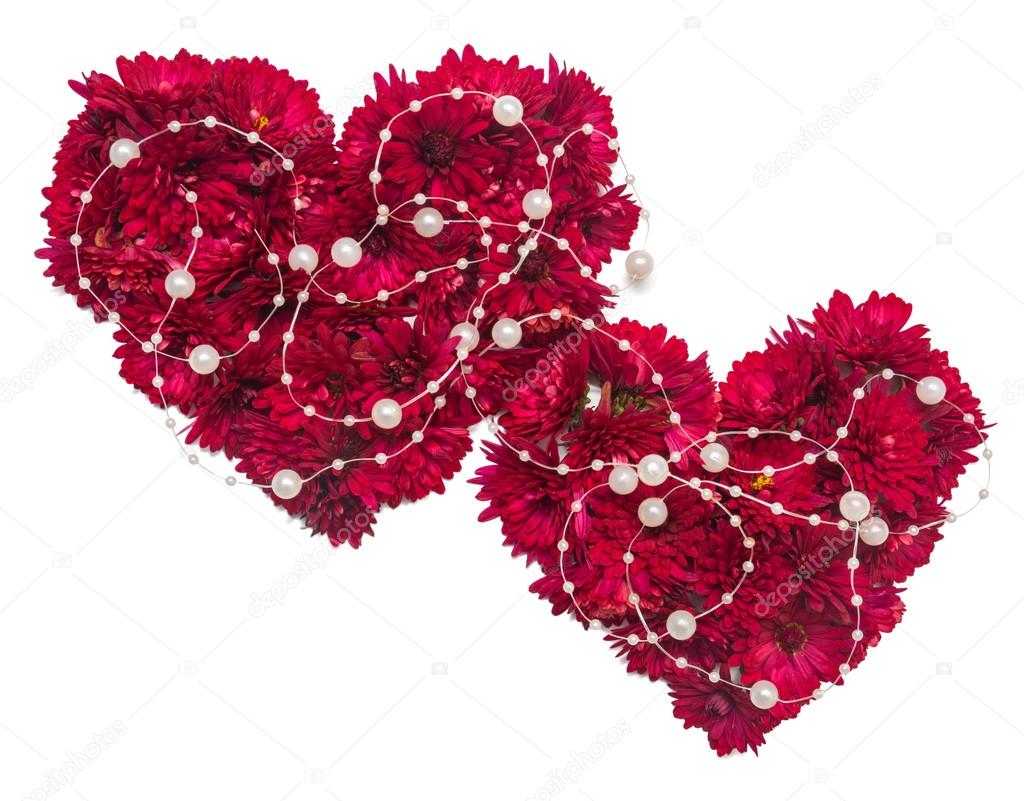 Two hearts from flowers of chrysanthemums