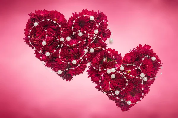 Deux cœurs de fleurs de chrysanthèmes — Photo