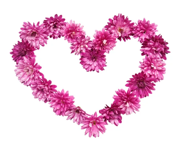 Corazón rosado de flores de crisantemo — Foto de Stock