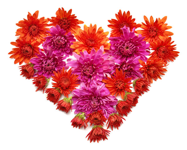 Heart from chrysanthemum flowers