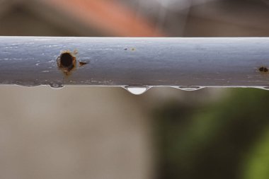 Gentle clouds reflect the sunset's magic light, while hidden rays shape a sky full of warmth, color, and softness