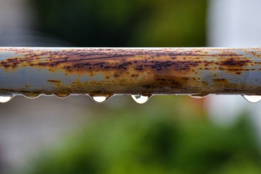 Gentle clouds reflect the sunset's magic light, while hidden rays shape a sky full of warmth, color, and softness