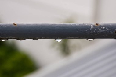 Gentle clouds reflect the sunset's magic light, while hidden rays shape a sky full of warmth, color, and softness