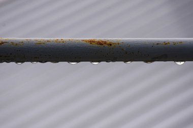 Gentle clouds reflect the sunset's magic light, while hidden rays shape a sky full of warmth, color, and softness