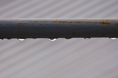 Gentle clouds reflect the sunset's magic light, while hidden rays shape a sky full of warmth, color, and softness