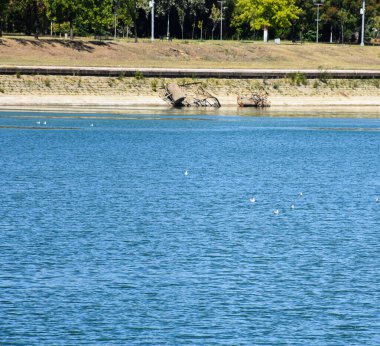Sakin mavi sudan yükselen eski bir metal yapının kalıntıları güneş ışığı ve uzak yeşil kıyı şeridiyle çarpıcı bir kontrast oluşturuyor..