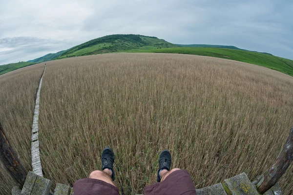 Traveller sitting in wooden observatory above a plain of reed — Stock Photo, Image