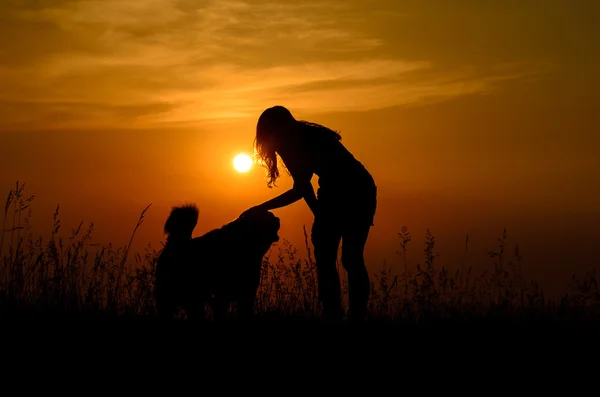 日没で彼女の犬をかわいがる女の子 — ストック写真