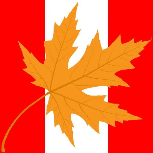 Maple Canadian Leaf.Simbol. — Stock Vector