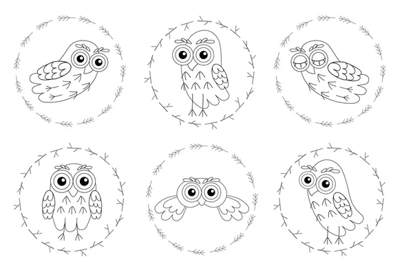 Set owl vector birds isolated on white background. — Stock Vector