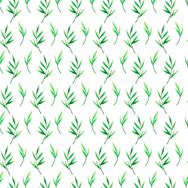 Yeşil bambu suluboya sembolsüz desen. Bambu dalları ve yaprakları arka plan.
