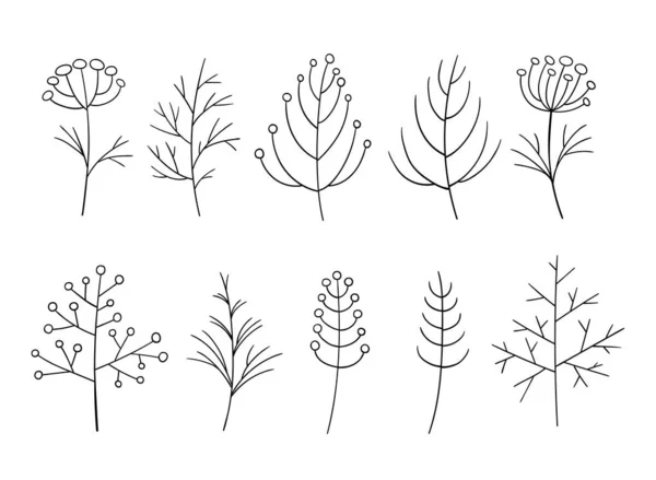 Blatt und Blumen Vektorskizze handgezeichnetes Set. Botanische Klippe. Waldgrüner Hintergrund — Stockvektor