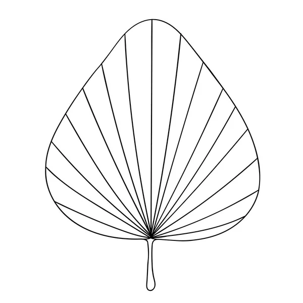 팜 윤곽 벡터 스케치 손으로 그린 식물학적 삽화. 열 대 야자나무의 부분. — 스톡 벡터