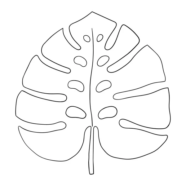 Monstera esboço vetor esboço mão desenhada ilustração botânica. Clipart de palmeira tropical. —  Vetores de Stock