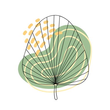 Baskı için soyut bitki botanik tasarımı. Soyut şekilli boho yaprağı. Tropik palmiye yaprakları kırpması.