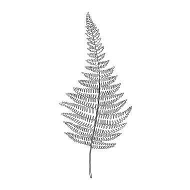 Yaprak vektörü taslağı çizimi. Orman yeşillik arka planı