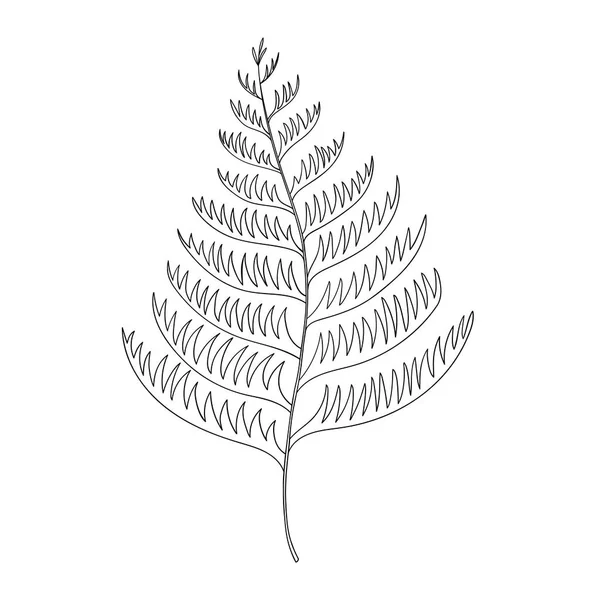 Fern vector sketch outline illustration. Forest leaf greenery background — Vettoriale Stock