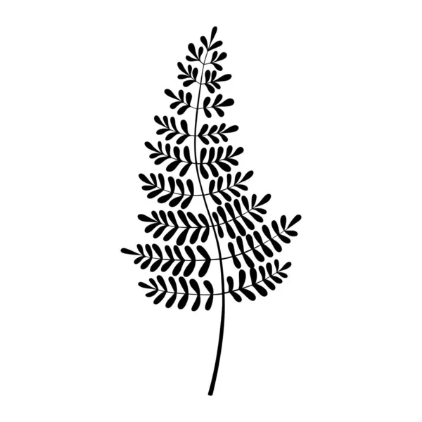 Fern silhouette vector illustration. Forest greenery background — Vettoriale Stock