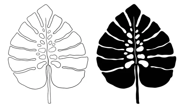 Monstera overzicht en silhouet vector botanische illustratie. Tropische palm. — Stockvector