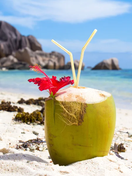 Bebida de coco tropical en la playa en la isla de La Digue — Foto de Stock