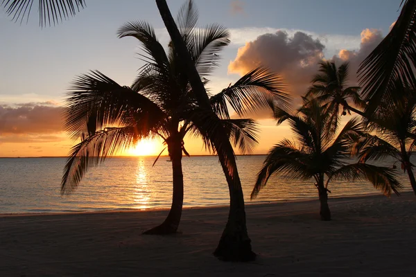 Tramonto sulla spiaggia alle Bahamas — Foto Stock