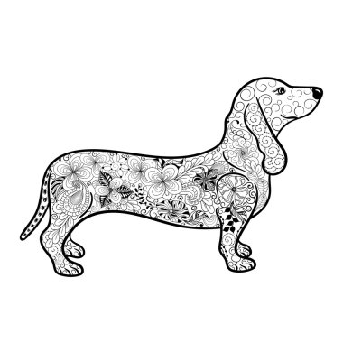 Dachshund Doodle illüstrasyon