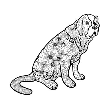 St. bernard köpeği