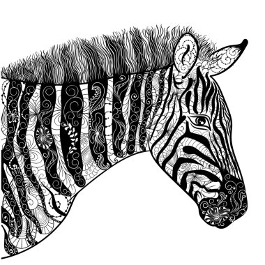 Zebra Doodle illüstrasyon