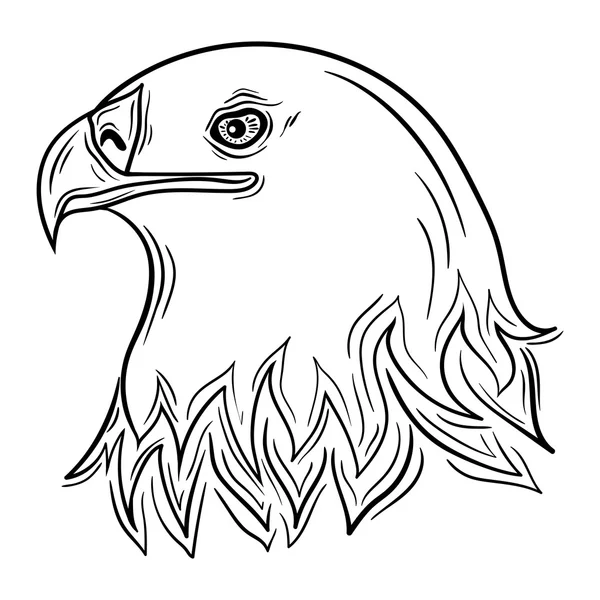 Eagle hoofd afbeelding — Stockvector