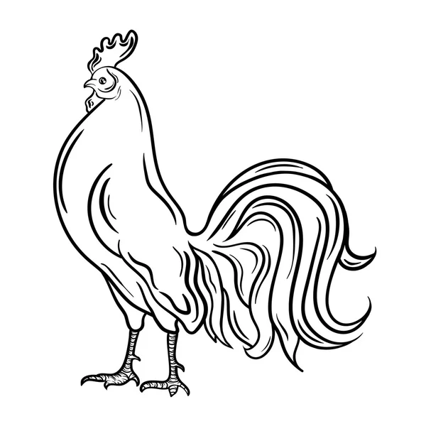 Vector de gallo ilustración — Vector de stock