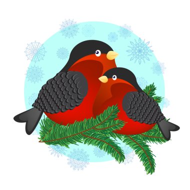 Bullfinches illüstrasyon vektör