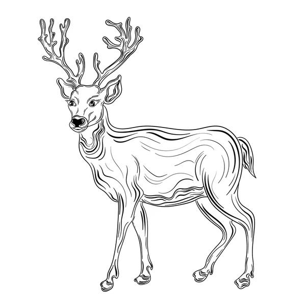 Deer vector illustration — Stock Vector