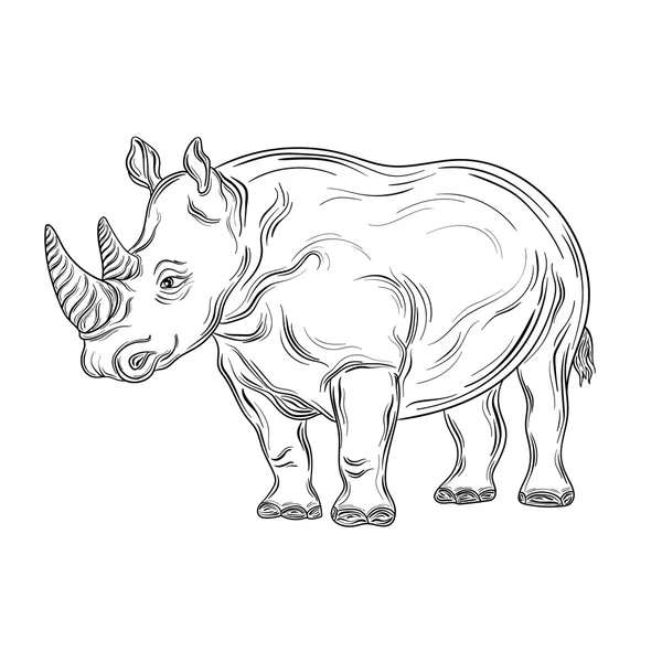 Illustrazione vettoriale del rinoceronte — Vettoriale Stock