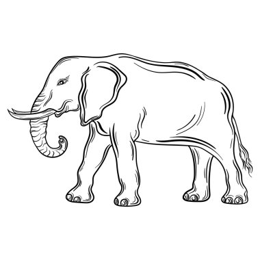 Elephant vector illustration clipart