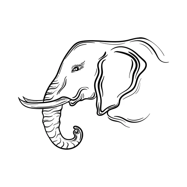 Ilustración de cabeza de elefante — Archivo Imágenes Vectoriales