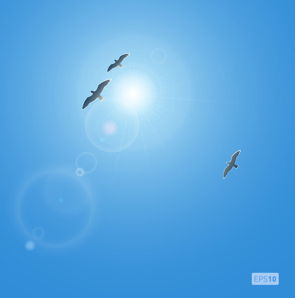 Realistic sun and seagulls