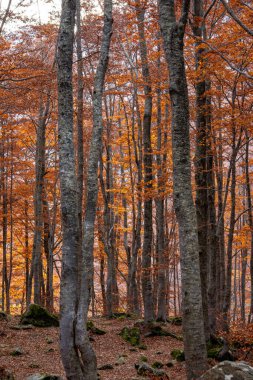 Monte Giovo, Modena ili, Emilia Romagna