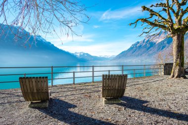 Lake Brienz, Switzerland  clipart