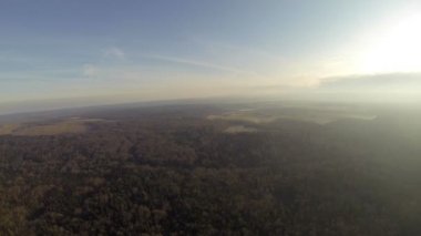 Güneşli havalarda ormanın Üstten Görünüm