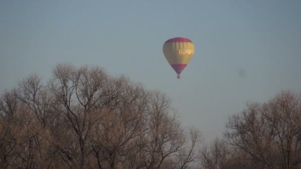 Gele-rode hete luchtballon vliegt over bomen — Stockvideo