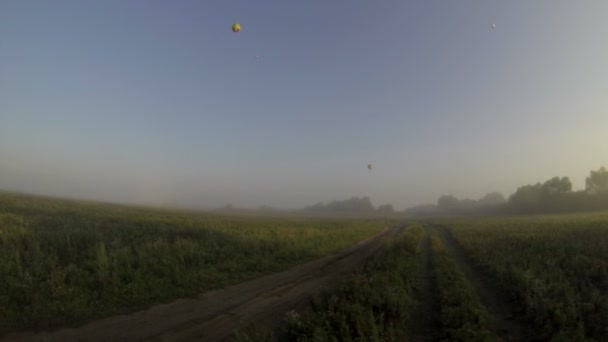 Weergave van het vliegen over veld in de vroege ochtend — Stockvideo