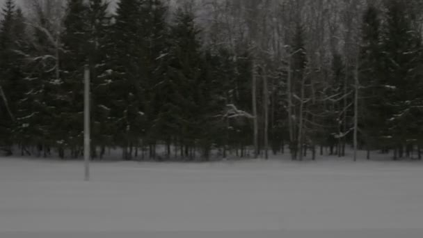 列车走行冬季公园的视角 — 图库视频影像