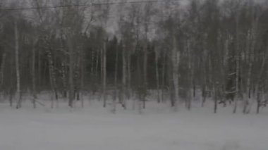 Tren hareket kış orman görüntüsü